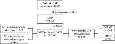 Impact of the COVID-19 pandemic on epidemiological and clinical characteristics of Mycoplasma pneumoniae pneumonia in children: a multicenter study from Hubei, China